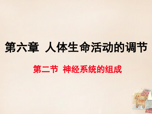 七年级生物下册 第六章 第二节 神经系统的组成PPT课件