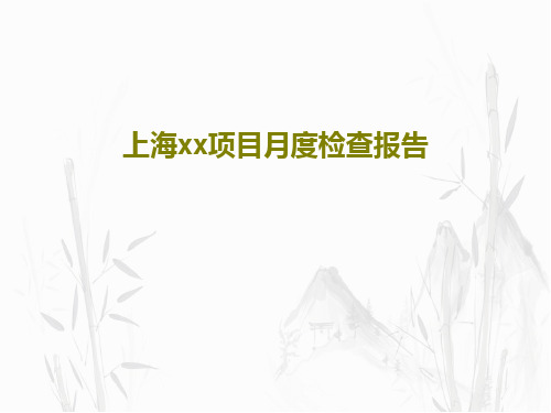 上海xx项目月度检查报告PPT文档共64页