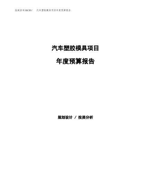 汽车塑胶模具项目年度预算报告