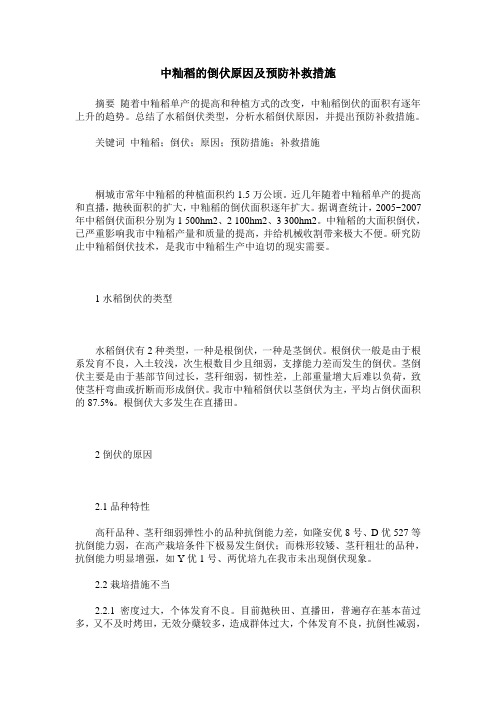 中籼稻的倒伏原因及预防补救措施