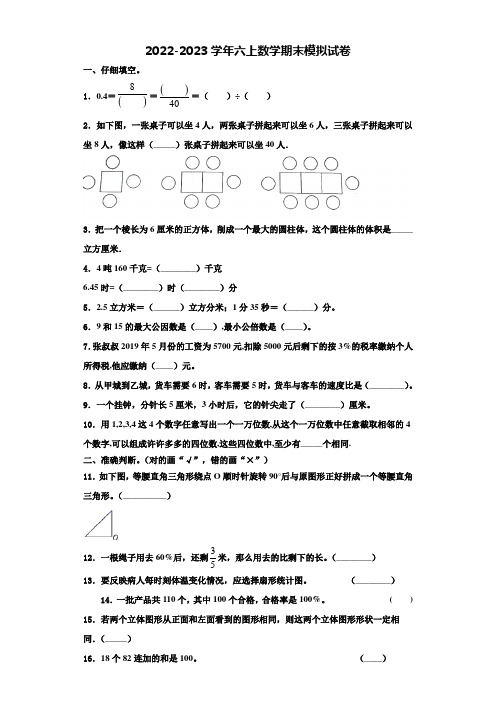 2022-2023学年黑龙江省哈尔滨市尚志市数学六年级第一学期期末质量检测模拟试题含解析