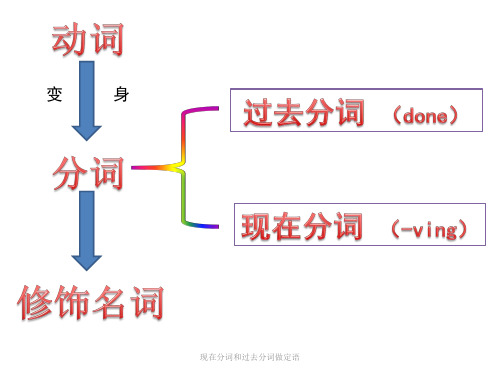 现在分词和过去分词做定语