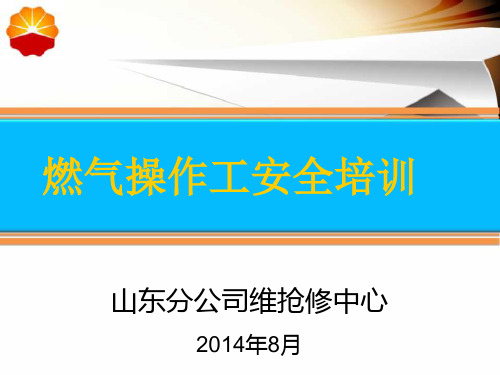 燃气操作工安全手册培训