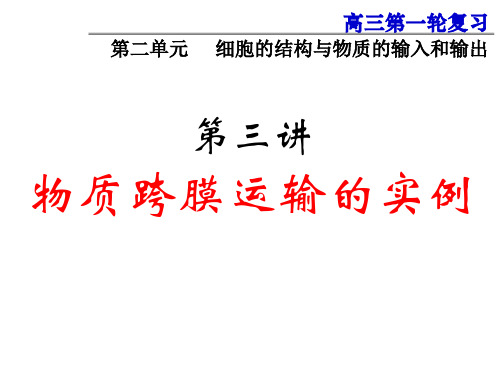 2019秋高三一轮复习生物课件：2.3物质跨膜运输的实例(共33张PPT)