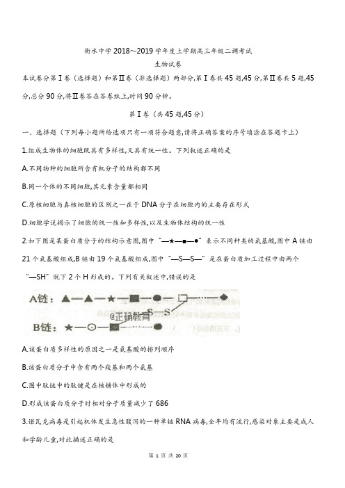 衡水中学2019届高三二调生物试题