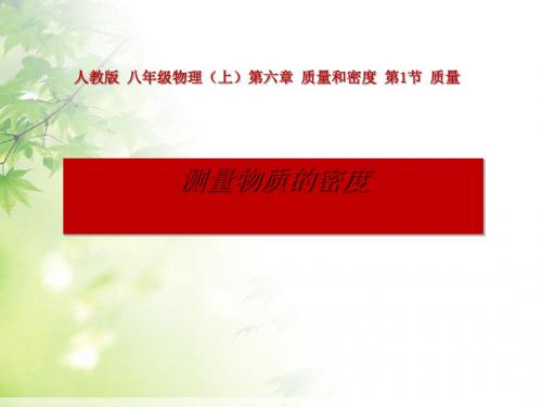人教版 质量与密度 PPT课件(上课用)3