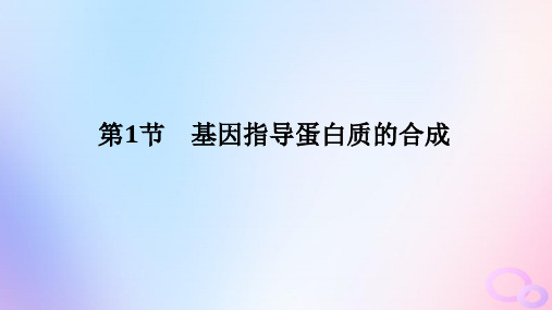 2024版新教材高中生物第4章基因的表达第1节基因指导蛋白质的合成课件新人教版必修2