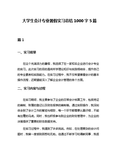 大学生会计专业暑假实习总结1000字5篇