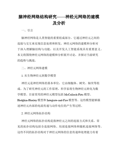 脑神经网络结构研究——神经元网络的建模及分析