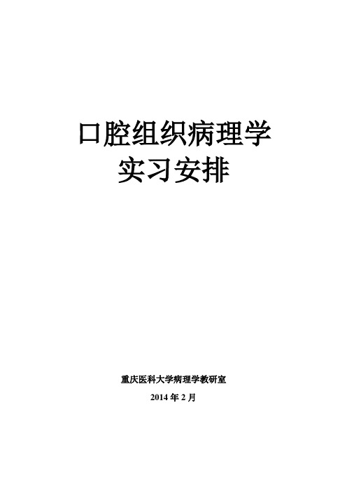 口腔组织病理学实习安排