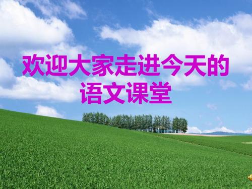《成功》教学课件(林广岩)
