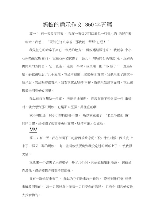 蚂蚁的启示作文350字五篇