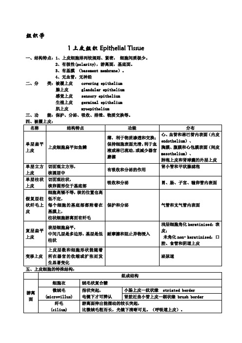 组织学与胚胎学重点