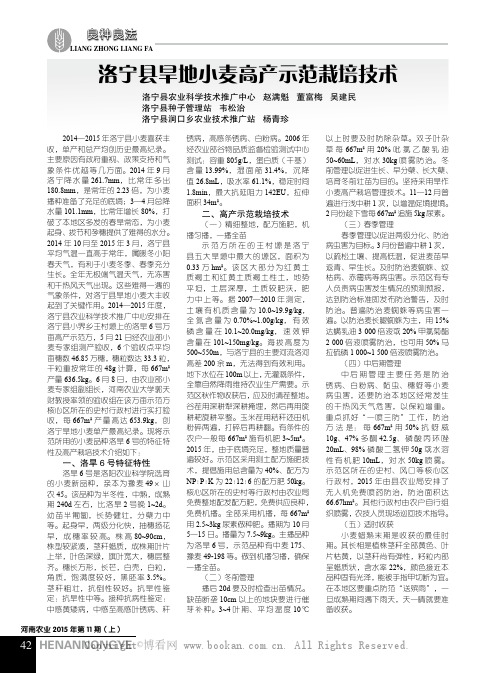 洛宁县旱地小麦高产示范栽培技术