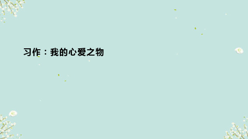 统编版语文五年级上册 第一单元习作：我的心爱之物 课件(共19张PPT)