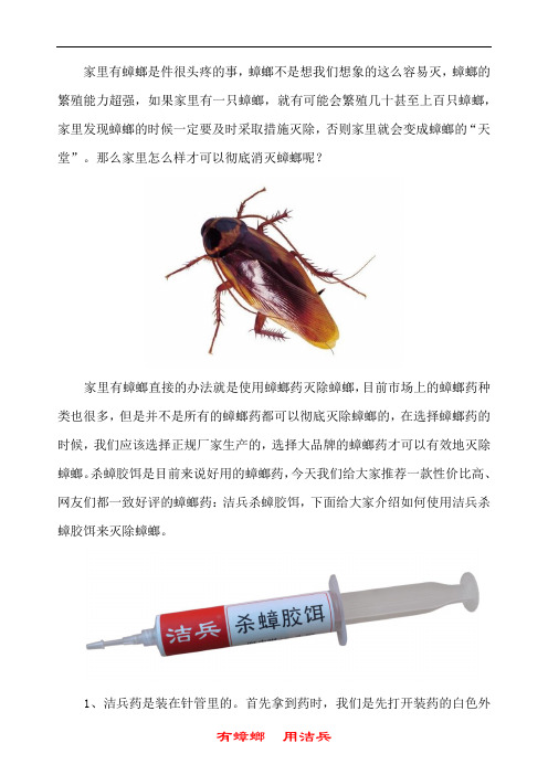 蟑螂怎么彻底消灭