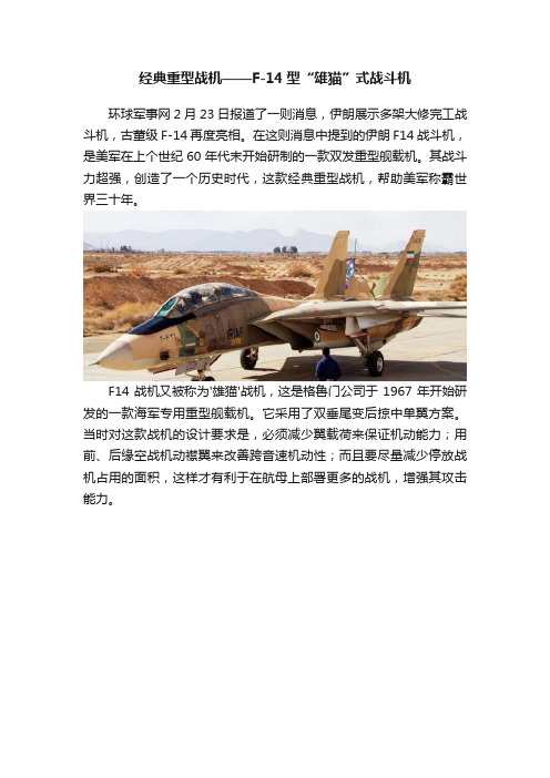 经典重型战机——F-14型“雄猫”式战斗机