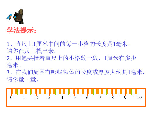 毫米和分米的认识PPT课件