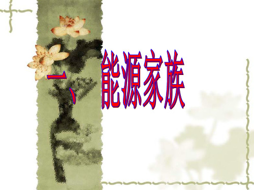物理:17.1《能源家族》课件(人教版九年级)(新编201912)