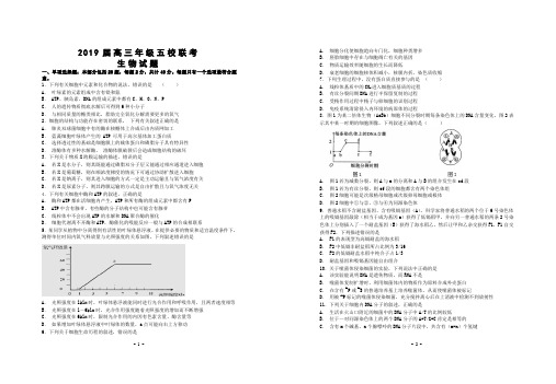 江苏省五校2019届高三12月联考生物试卷试卷有答案