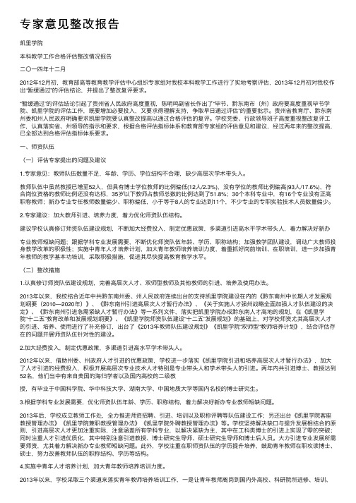 专家意见整改报告