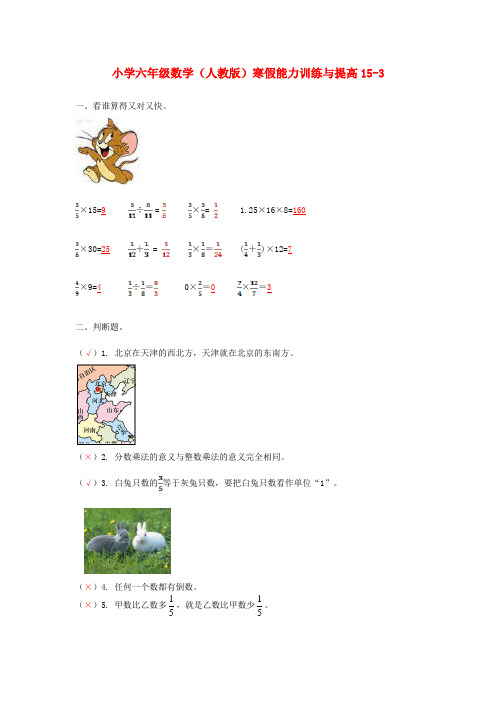 六年级数学寒假能力训练与提高15-3 人教版 Word版 含答案