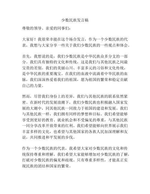 少数民族发言稿