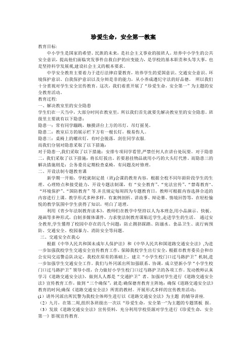 珍爱生命-安全第一主题班会教案