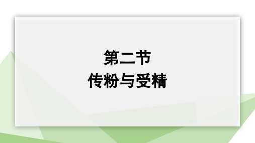 1-2 传粉与受精 课件 初中生物济南版八年级上册(2023~2024学年)