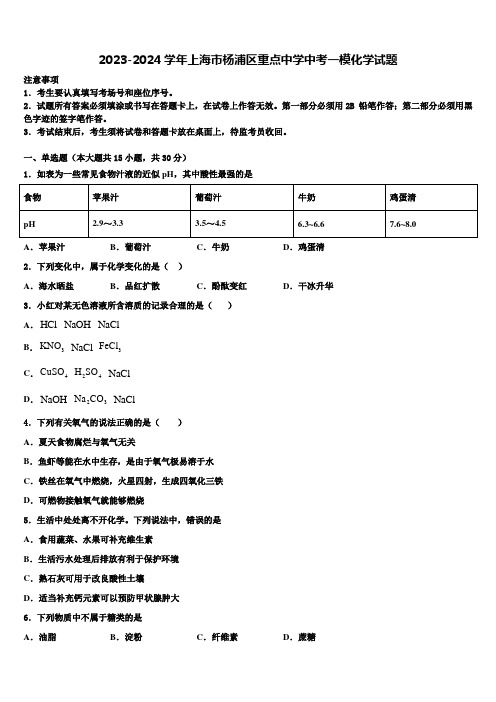 2023-2024学年上海市杨浦区重点中学中考一模化学试题含解析