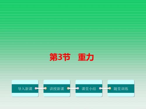 鲁教版八年级物理下册6章第三节 重力 教学课件 (共24张PPT)