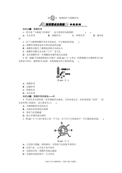 初中浙教版科学八年级下册第4章 第5节 植物的叶与蒸腾作用 练习