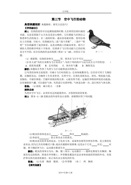 人教版生物-八年级上册-人教版生物八上第五单元第一章第三节 经典例题