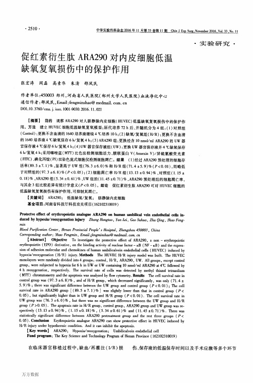 促红素衍生肽ARA290对内皮细胞低温缺氧复氧损伤中的保护作用要点