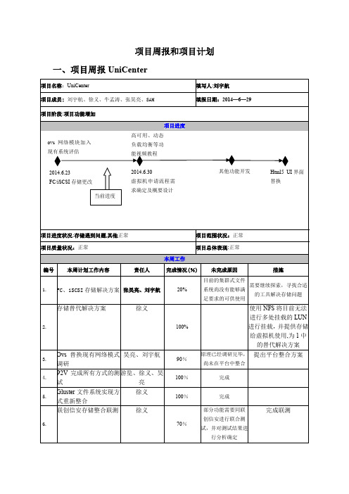 项目周报模板