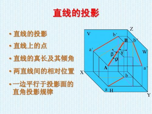 直线的投影