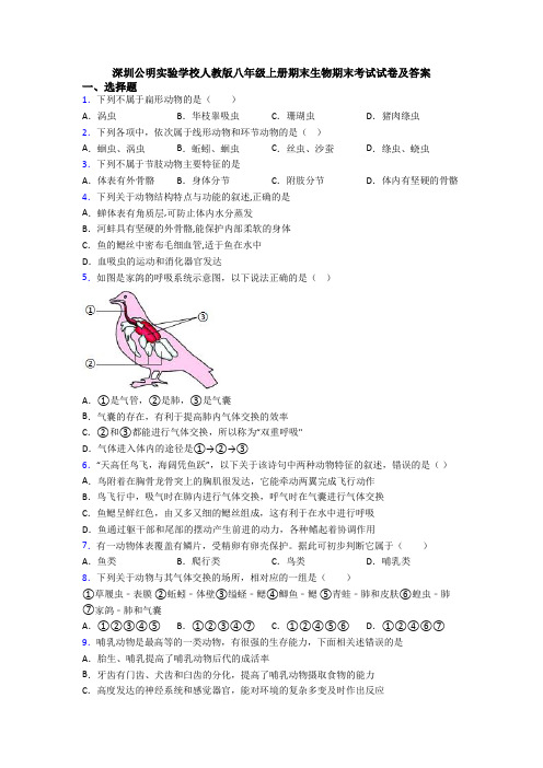 深圳公明实验学校人教版八年级上册期末生物期末考试试卷及答案