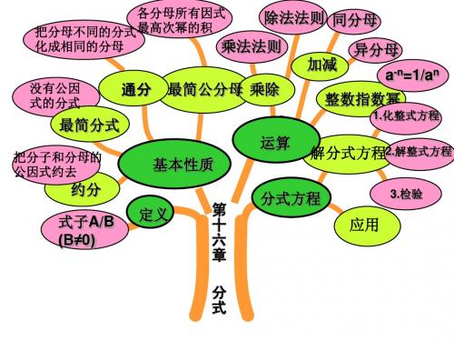 八年级数学下册知识树