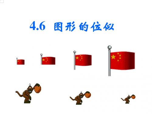 数学:浙江省慈溪市横河初级中学 4.6图形的位似 课件(浙教版九年级上)