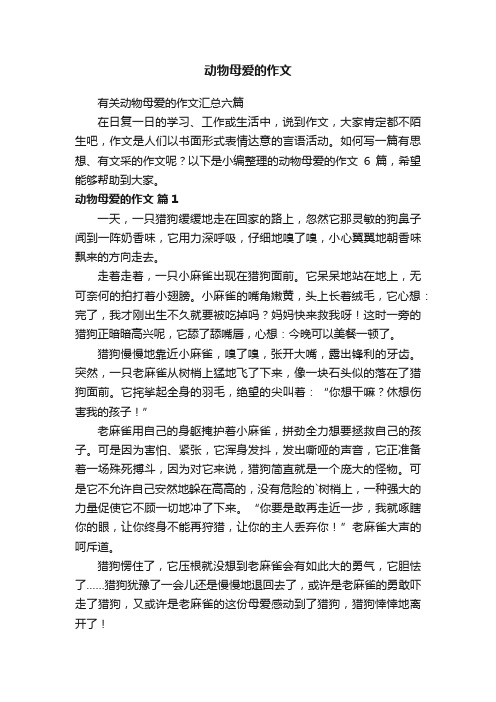 有关动物母爱的作文汇总六篇