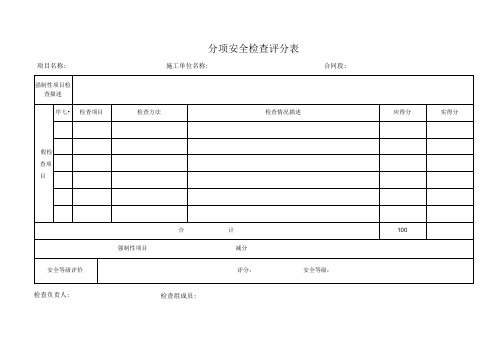 分项安全检查评分表