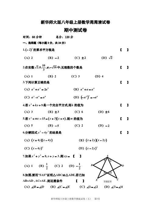 新华师大版八年级上册数学周周清试卷