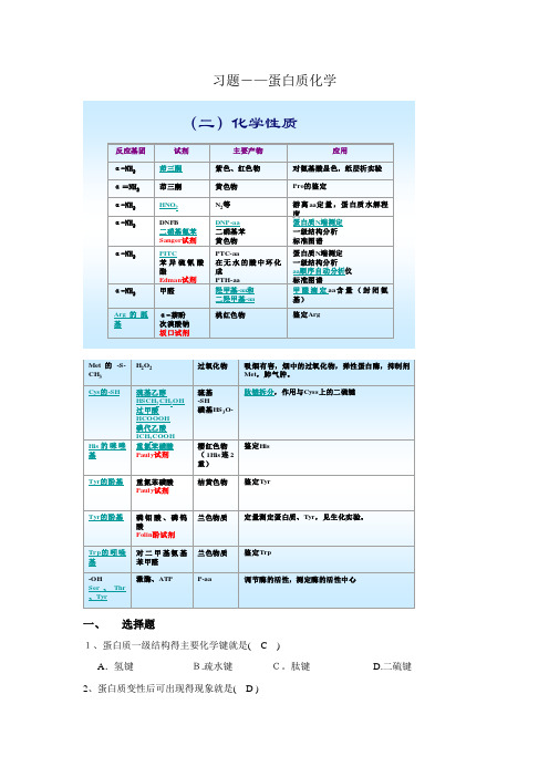 蛋白质化学习题参考答案