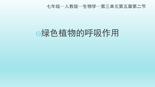 人教版七年级上册生物绿色植物的呼吸作用  课件