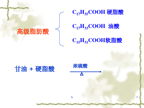 油脂高级脂肪酸教学课件PPT