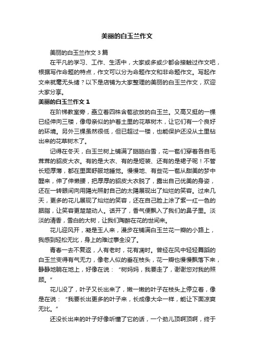 美丽的白玉兰作文