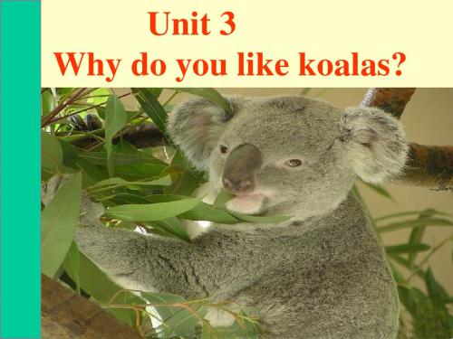 英语(新目标)七年级下册Unit3 Why do you like koalas？Section A课件