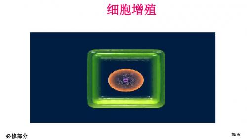 细胞增殖公开课(复习)