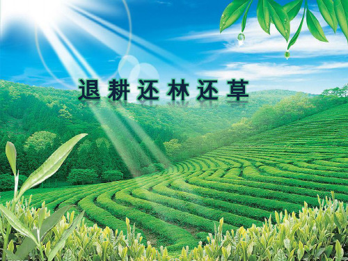 人教版初中生物七下第七章 科学.技术.社会 退耕还林还草 课件 (共22张PPT)