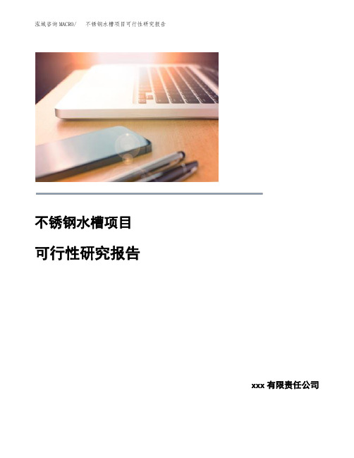 不锈钢水槽项目可行性研究报告